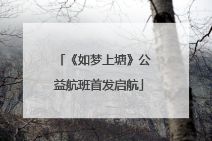 《如梦上塘》公益航班首发启航