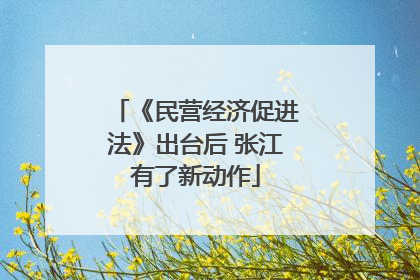 《民营经济促进法》出台后 张江有了新动作