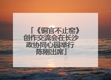 《铜官不止窑》创作交流会在长沙政协同心园举行 陈刚出席