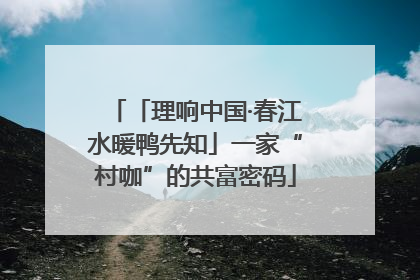 「理响中国·春江水暖鸭先知」一家“村咖”的共富密码