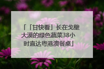 「甘快看」长在戈壁大漠的绿色蔬菜38小时直达粤港澳餐桌
