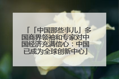 「中国那些事儿」多国商界领袖和专家对中国经济充满信心：中国已成为全球创新中心