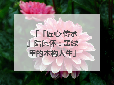 「匠心·传承」陆德怀：墨线里的木构人生