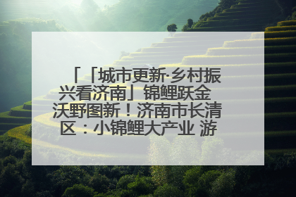 「城市更新·乡村振兴看济南」锦鲤跃金 沃野图新！济南市长清区：小锦鲤大产业 游出农旅新风景