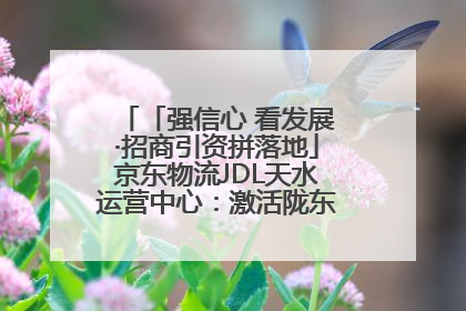 「强信心 看发展·招商引资拼落地」京东物流JDL天水运营中心：激活陇东南区域经济新引擎