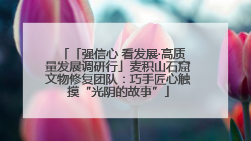 「强信心 看发展·高质量发展调研行」麦积山石窟文物修复团队：巧手匠心触摸“光阴的故事”