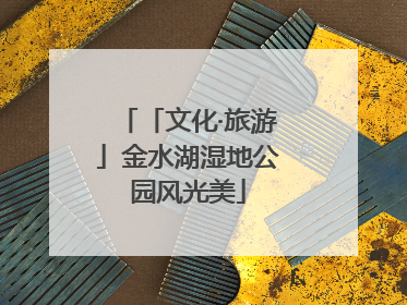 「文化·旅游」金水湖湿地公园风光美
