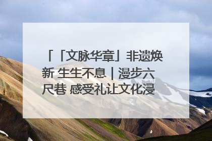 「文脉华章」非遗焕新 生生不息｜漫步六尺巷 感受礼让文化浸润的“巷”往生活
