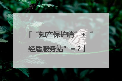 “知产保护哨”+“经盾服务站”=？