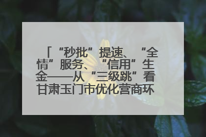 “秒批”提速、“全情”服务、“信用”生金——从“三级跳”看甘肃玉门市优化营商环境的进阶之路