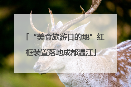 “美食旅游目的地”红框装置落地成都温江