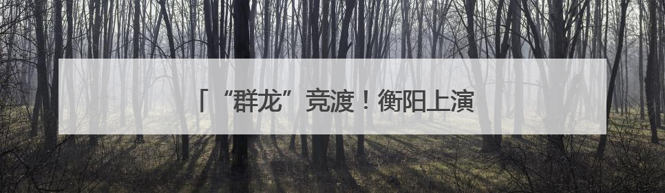 “群龙”竞渡！衡阳上演水上版“速度与激情”