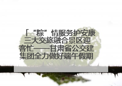 “粽”情服务护安康 三大交旅融合景区迎客忙——甘肃省公交建集团全力做好端午假期景区运营工作