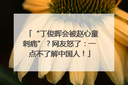 “丁俊晖会被赵心童刺痛”？网友怒了：一点不了解中国人！