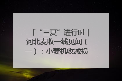“三夏”进行时｜河北麦收一线见闻（一）：小麦机收减损“竞技” 农机高手麦田“过招”