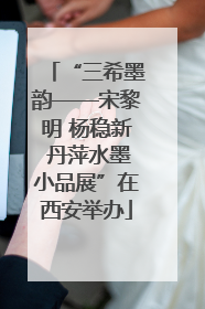 “三希墨韵——宋黎明 杨稳新 丹萍水墨小品展”在西安举办