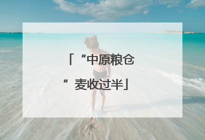 “中原粮仓”麦收过半