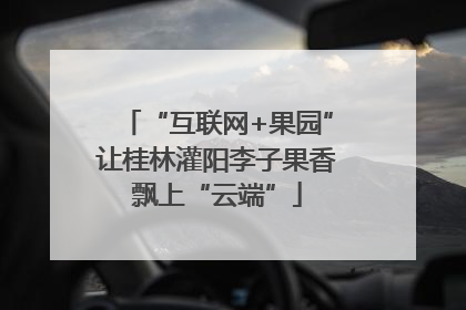 “互联网+果园”让桂林灌阳李子果香飘上“云端”