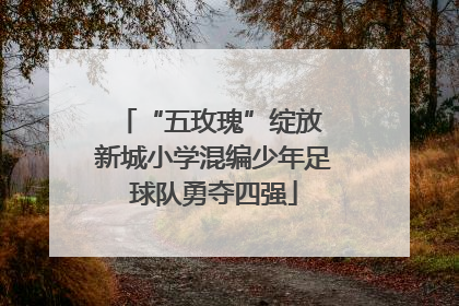 “五玫瑰”绽放 新城小学混编少年足球队勇夺四强