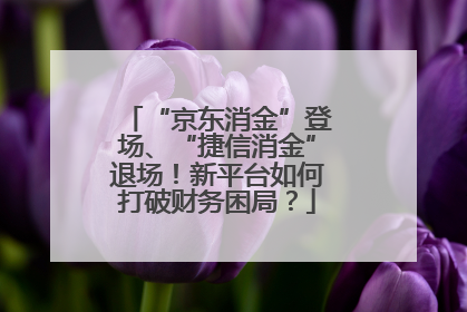 “京东消金”登场、“捷信消金”退场！新平台如何打破财务困局？