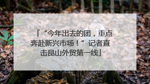 “今年出去的团，重点奔赴新兴市场！”记者直击昆山外贸第一线