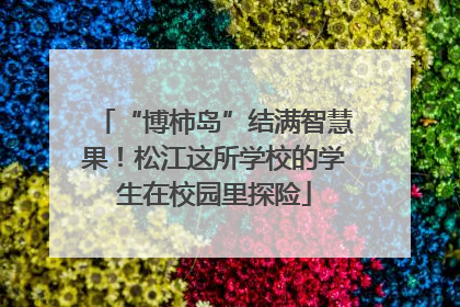 “博柿岛”结满智慧果！松江这所学校的学生在校园里探险