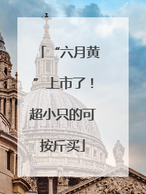 “六月黄”上市了！超小只的可按斤买