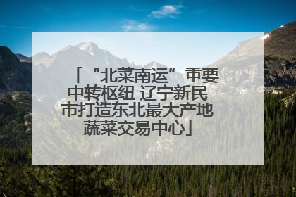 “北菜南运”重要中转枢纽 辽宁新民市打造东北最大产地蔬菜交易中心