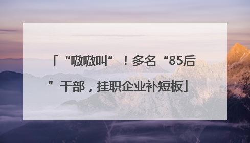 “嗷嗷叫”！多名“85后”干部，挂职企业补短板