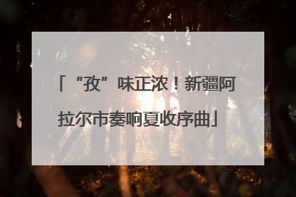 “孜”味正浓！新疆阿拉尔市奏响夏收序曲