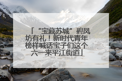 “宝藏苏城”碧凤坊有礼！新时代青年榜样喊话宝子们这个六一来平江街道