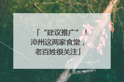 “建议推广”！漳州这两家食堂，老百姓很关注