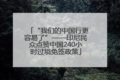 “我们的中国行更容易了”——印尼民众点赞中国240小时过境免签政策