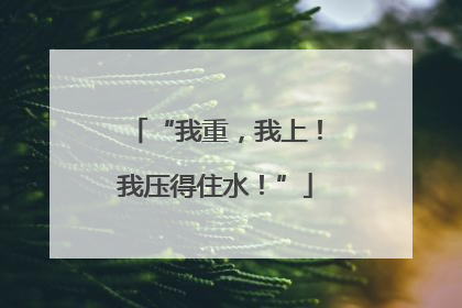 “我重，我上！我压得住水！”