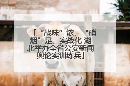 “战味”浓、“硝烟”足、实战化 湖北举办全省公安新闻舆论实训练兵