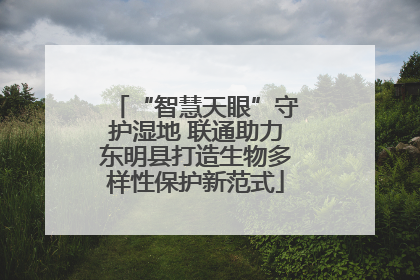 “智慧天眼”守护湿地 联通助力东明县打造生物多样性保护新范式