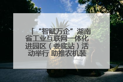 “智赋万企”湖南省工业互联网一体化进园区（娄底站）活动举行 助推农机装备产业高质量发展