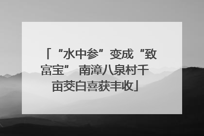 “水中参”变成“致富宝” 南漳八泉村千亩茭白喜获丰收