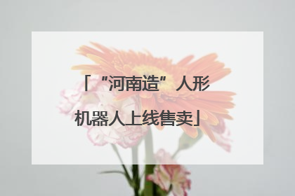 “河南造”人形机器人上线售卖
