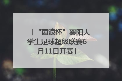 “茵浪杯”襄阳大学生足球超级联赛6月11日开赛