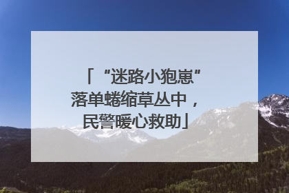 “迷路小狍崽”落单蜷缩草丛中，民警暖心救助