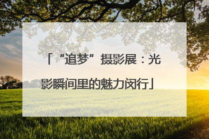 “追梦”摄影展：光影瞬间里的魅力闵行