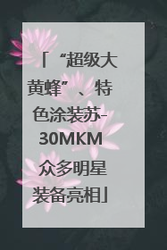 “超级大黄蜂”、特色涂装苏-30MKM 众多明星装备亮相