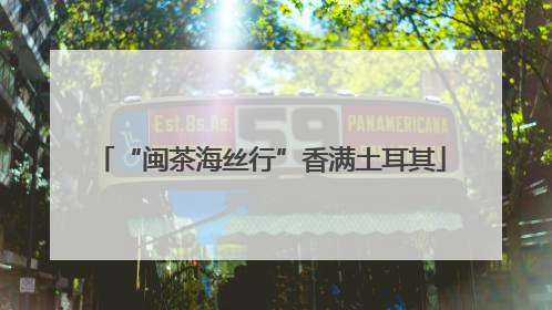 “闽茶海丝行”香满土耳其