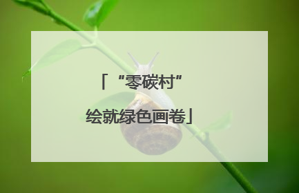 “零碳村” 绘就绿色画卷