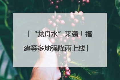 “龙舟水”来袭！福建等多地强降雨上线