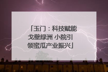 玉门：科技赋能戈壁绿洲 小院引领蜜瓜产业振兴