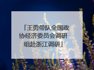 王勇带队全国政协经济委员会调研组赴浙江调研