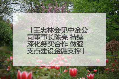 王忠林会见中金公司董事长陈亮 持续深化务实合作 做强支点建设金融支撑