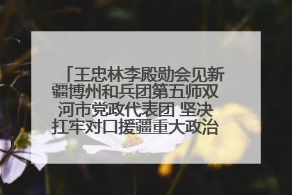 王忠林李殿勋会见新疆博州和兵团第五师双河市党政代表团 坚决扛牢对口援疆重大政治责任 推动双方实现优势互补务实合作